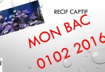 Mon bac au 01/02/2016