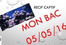 Mon bac au 05/05/2016