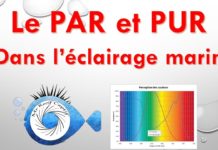 Le PAR et le PUR