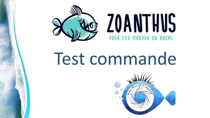 logo https://www.zoanthus.fr