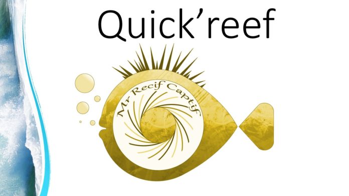 Logo Quick'reef