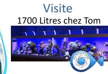 Visite chez Tom pour voir son 1700 litres