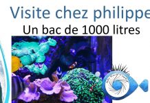 Philippe nous présente son 1000 litres.