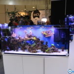 Aquarium avec les éclairages Tunze