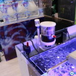 détail de l'aquarium nano BLAU