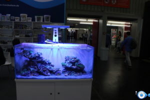 Aquarium de présentation preis aquaristik et ricordea farm