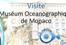 Je visite le musée océanographique de Monaco