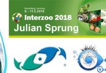 Julian Sprung de Two Little Fishies nous présente STAX et STIX