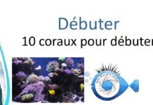 10 Coraux pour débuter
