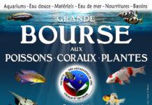Bourse de la SACE 2019