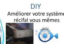 Le Do It Yourself : plus qu’un loisir, un combo génial avec le récifal