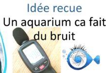 Le Bruit en aquariophilie récifale