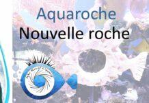 Aquaroche sur mesure pour mon récifal