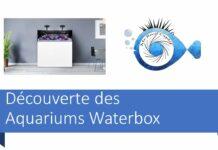 Les Aquariums Waterbox