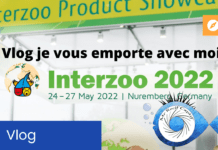 Vlog de promenage dans Interzoo 2022