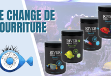 Je change de nourriture pour River Aqua