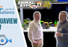 Aquatlantis Aquaview SW une alternative méconnue