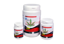 Le CBD, une nouvelle approche alimentaire pour les poissons ?