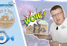 Rock&Reef ConneXion d’Aquaroche : La solution ingénieuse pour sublimer votre aquarium | Aquaroche.fr