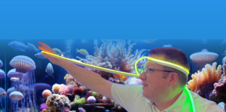 Préparation de Mr Récif Captif pour Interzoo 2024 : L’événement Incontournable pour les Amateurs d’Aquariums