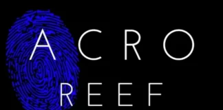 Soutenez le Projet ACRO REEF : Une Initiative Passionnante pour la Protection des Coraux