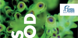 La Méthode Bolus : Une Approche Complète pour l’Aquariophilie Récifale