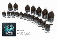 Révolution dans la complémentation récifale : Le Protocole NWC de Turtle System