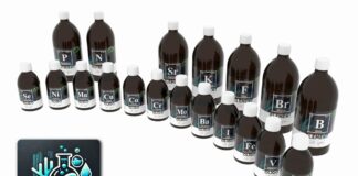 Révolution dans la complémentation récifale : Le Protocole NWC de Turtle System