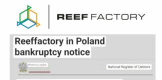 📉 Reef Factory en faillite : ce que vous devez savoir, et pourquoi ce n’est (peut-être) pas la fin
