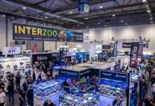 Interzoo 2026 : Je serai là ! 🎉
